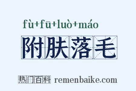 附肤落毛是什么意思的图片
